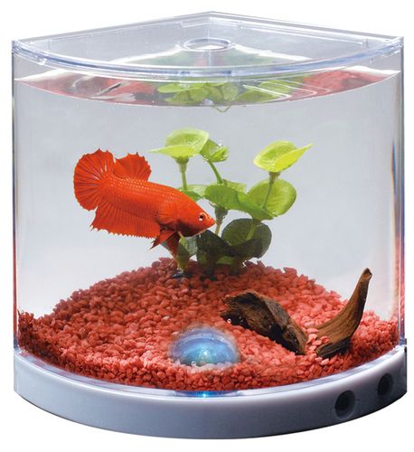 Betta Tank LED light mini akvárium