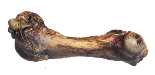 Bravčová špiková kosť