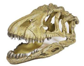 Dekorácia kostra dinosaura-Resin ornament U-714