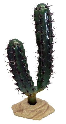 Finger Cactus