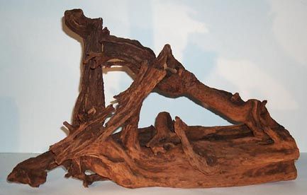 Mangrove koreň L 40-60cm