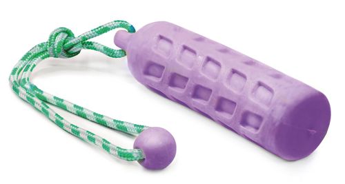 Plávajúca hračka valec na šnúre fialový