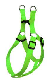 Postroj Neon zelený L 2x40-60cm